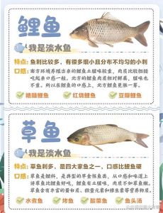 鲤鱼花鲢草鱼的区别_鲤鱼草鱼鲢鲫鱼，外形习性烹饪营养价值大不同
