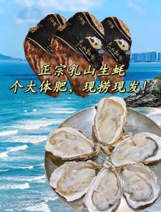 福建蚝和乳山蚝区别_大个鲜甜，口感脆嫩！