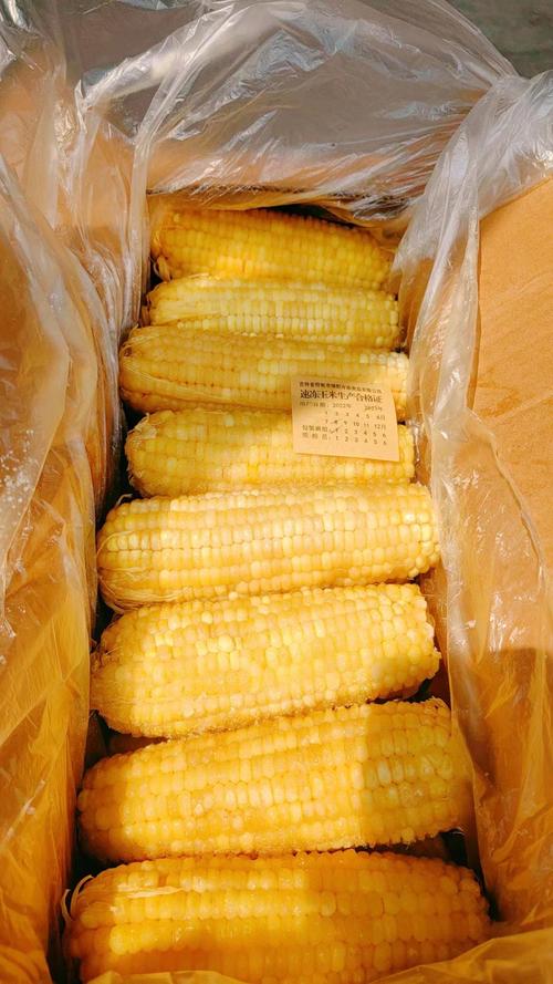 超市速冻玉米是熟的吗_超市熟冻玉米，解冻后蒸20分钟就吃，香甜软糯！