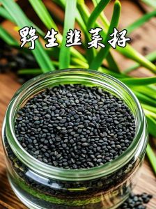 韭菜籽怎么种植方法图解_在家种韭菜，简单易学！
