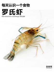 草虾和罗氏虾对比图_口感营养大比拼