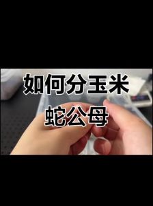 雄蛇的两个繁殖部位图_雄蛇双鞭交配，雌蛇储精择时，了解防蛇伤