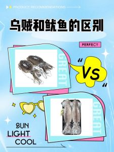 章鱼八爪鱼鱿鱼乌贼的区别_章鱼鱿鱼乌贼大不同