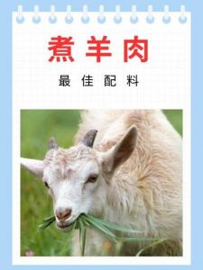 正宗焖羊肉的配料表_鲜嫩羊肉配香料，冬日暖心美味！