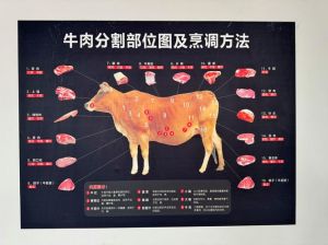牛内器官图解大全_牛感官发达善感知，换毛适应气候，骨骼适合草原，四胃消化粗纤维