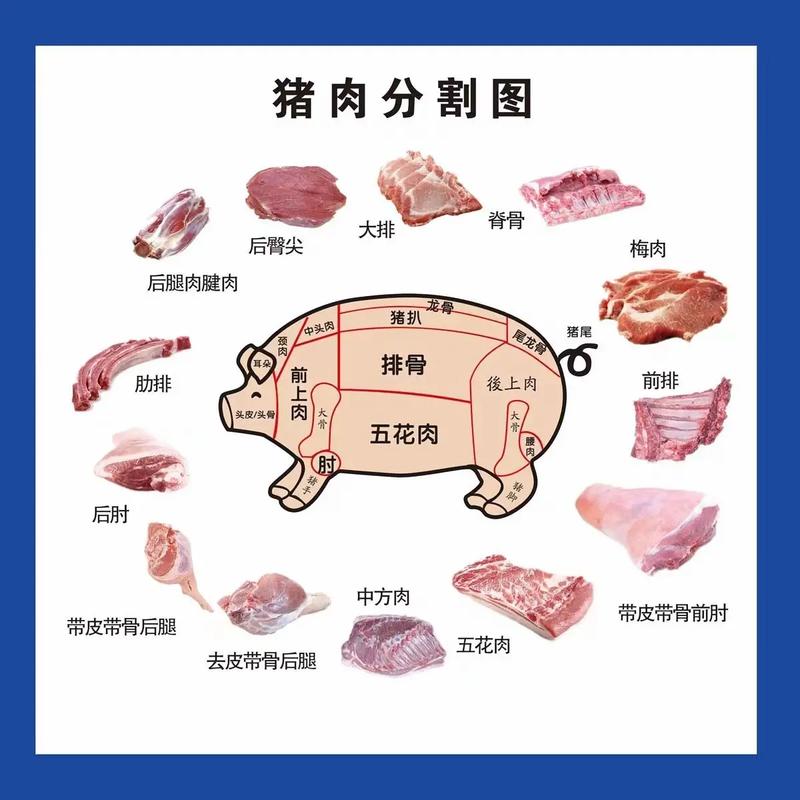 小油边是哪个部位图解_脆嫩多汁，猪心精华！