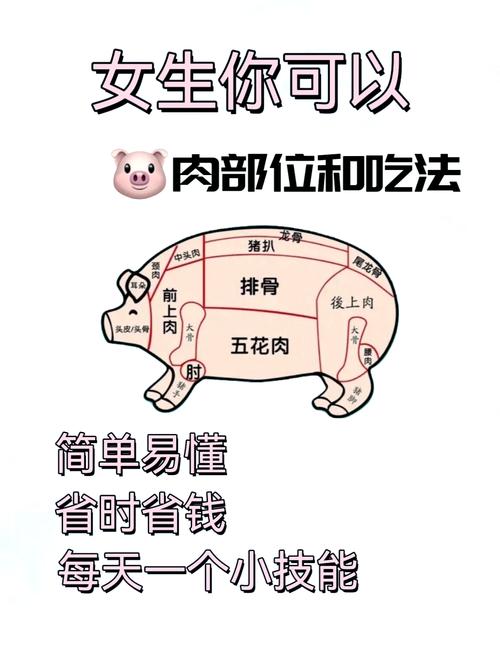 猪肉三排是哪三部位_精肋排去骨鲜嫩,4号肉紧实宜炖烤,选排骨看特点! 猪肉三排是哪三部位_精肋排去骨鲜嫩,4号肉紧实宜炖烤,选排骨看特点!