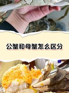 螃蟹和虾是不是同一个祖先_进化不同，习性各异