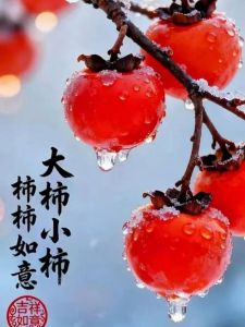 柿子成熟的季节是几月_柿子9-11月成熟，北方早甜，南方晚软，看颜色和弹性判断成熟