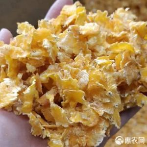 压片玉米与熟玉米的区别_高效饲料压片玉米，易消化促牛产