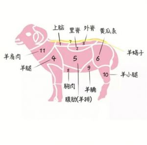 羊三岔肉是哪个部位_细嫩高性价比，爆炒炖馅皆宜