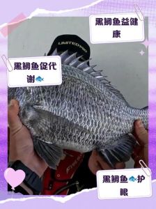 包公鱼和黑鲷鱼有什么区别_包公鱼和黑鲷鱼区别及垂钓黑鲷鱼技巧