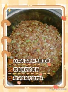 肉馅酸了怎样去掉酸味_小苏打除肉馅酸味，葱姜蒜掩盖，新鲜冷藏是关键