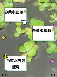 青菜为什么要焯水_焯水让青菜更鲜亮，但会流失维生素