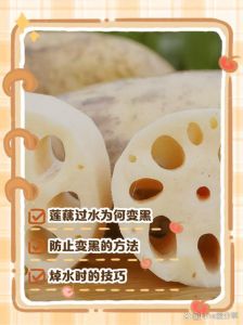 莲藕片焯水几分钟熟_焯水莲藕时间多久？保持脆爽小窍门