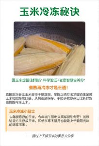鲜玉米怎样保鲜存放长久_冷冻玉米粒保鲜10个月，简单易学！