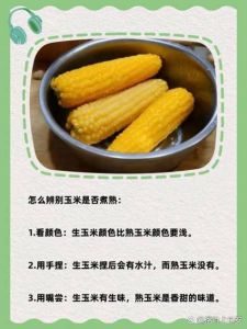网上熟玉米要煮多久_香甜软糯煮玉米，加牛奶盐糖更美味！
