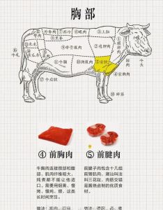 牛每个部位肉叫什么_炖煮煎烤红烧炸炒，口感多样！