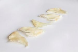 群翅和鱼翅的区别_散翅排翅有啥区别？鱼翅营养高吗？