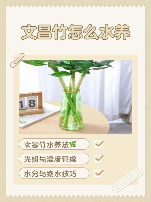 北方竹子怎样清除干净_砍断喷药挖隔离沟,芝麻抑制再生 北方竹子怎样清除干净_砍断喷药挖隔离沟,芝麻抑制再生