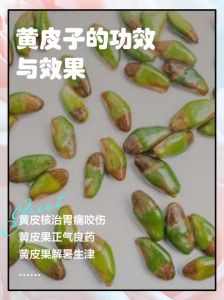 黄皮子肉是什么部位_牛隔肌猪梅花肉等，风味各异！