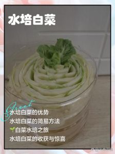 太湖小白菜要焯水吗_太湖小白菜是否焯水？看喜好和做法