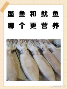 鱿鱼长大是不是叫墨鱼_鱿鱼墨鱼章鱼有啥区别？