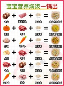 10款简易焖饭的做法大全_多样美味，简单做！