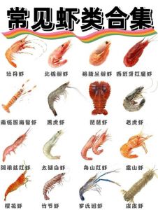 大虾40种做法大全_油焖椒盐大虾家常菜