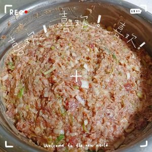 羊肉韭菜饺子馅正宗调制方法_250克肉配200克韭菜