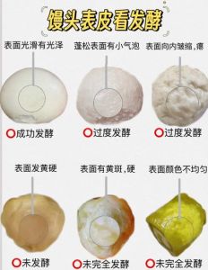 前酵母法馒头做法_激活酵母揉光滑，发酵分剂再蒸馒头