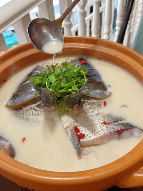 清汤青鱼的做法窍门_煎鱼出油汤奶白 清汤青鱼这样做