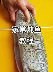 草鱼黑鱼鮰鱼家常做法买哪一条_草鱼黑鱼鮰鱼怎么选？