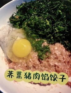 荠菜肉包子馅的做法大全_鲜嫩荠菜肉馅，做法香浓多汁！