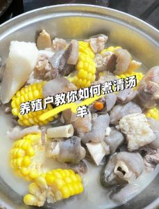 湖北口味羊肉汤做法_湖北炖羊肉，香鲜味美！
