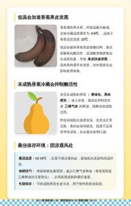 香蕉放冰箱的正确做法_香蕉放冰箱易变黑？冷藏冷冻有妙招！