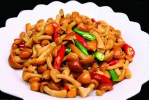 滑子蘑菇家常做法大全_滑子菇做法多，清炒炖煮都美味！