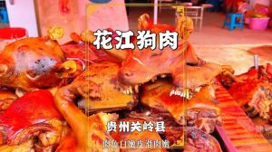 贵州狗肉花江的做法_美味暖身特色菜
