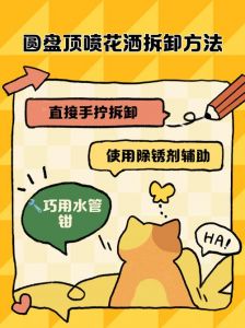 花洒头怎么拆开图解_花洒头拆卸清洗方法与防垢技巧