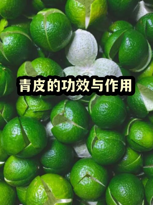 青皮桔子成熟时间_四月开花，十一成熟，九至十一月上市，维C丰富，秋冬增强免疫力