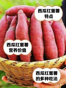 红薯西瓜红和云南蜜薯什么区别_甜糯营养谁更胜一筹？