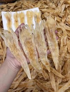 安南鱼胶是属于鳘鱼胶吗_东南亚鱼胶，止咳润肺，性价比高