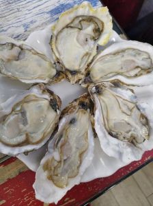生蚝火锅要煮多久才熟_不同做法时间！