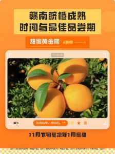 在南方橘子一般多久成熟_10月高峰，早熟晚熟有别
