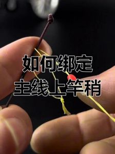 竿稍绳打结方法图解_钓鱼主线连接牢固技巧，延长寿命防断线