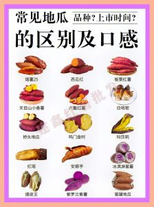 甜红薯和粉红薯的区别_红薯分细长甜软和粗圆粉糯，怎么挑怎么存