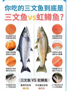 trout鲑鱼属于三文鱼吗_鲑鱼和三文鱼的区别是什么？