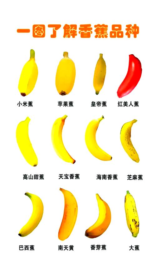 香蕉成熟时间对照表_香蕉成熟期看季节，选对香甜营养高