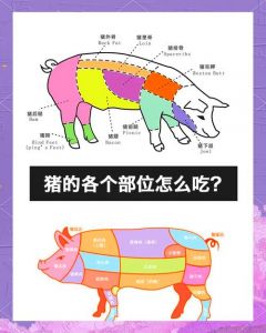 猪爽肉是猪的哪个部位_肥瘦不均，慢炖蒸制美味佳肴