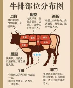 针扒是牛哪个部位_牛针扒肉嫩香，煎炒烤皆宜，健身营养好选择！